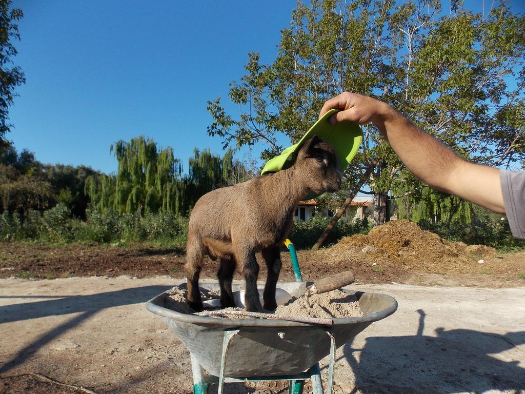 Agriturismo Le Tagliate 乌瓜诺拉基耶萨 外观 照片