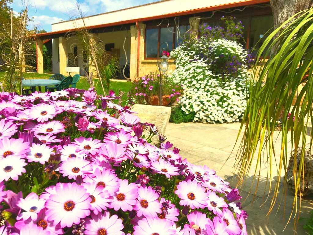 Agriturismo Le Tagliate 乌瓜诺拉基耶萨 外观 照片